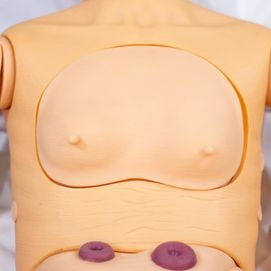 Simulador para Treinamento Cuidado de Idosos (Bissexual)