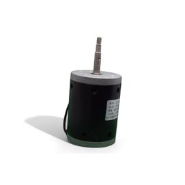 Motor  -  Centrifuga Clinica - CE2000 110v