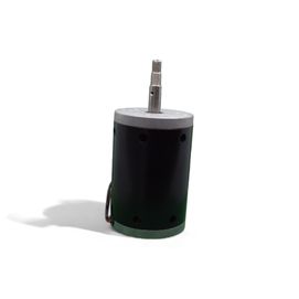 Motor  -  Centrifuga Clinica - CE2001 110v